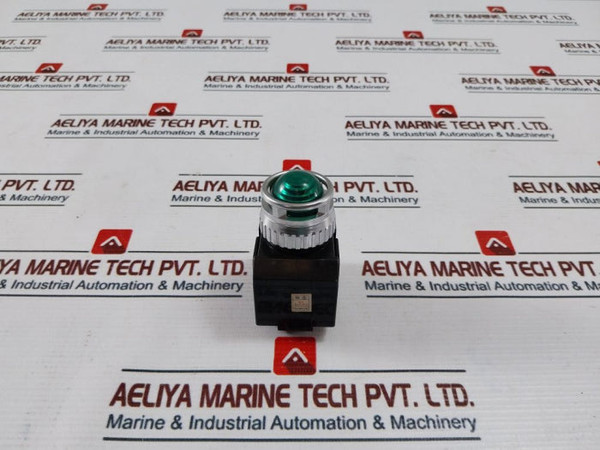 Yongsung Ys Npbl 3-006A Pilot Lamp 250V 6A