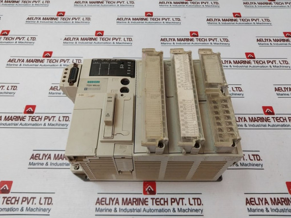 Analog Inputs Telemecanique Modicon