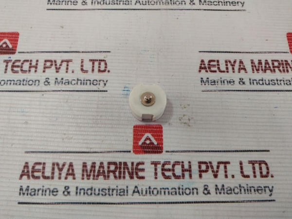 Siemens Diazed Fitting Screw New