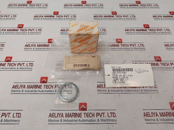 Valqua F/300-20 Check Gasket Globe
