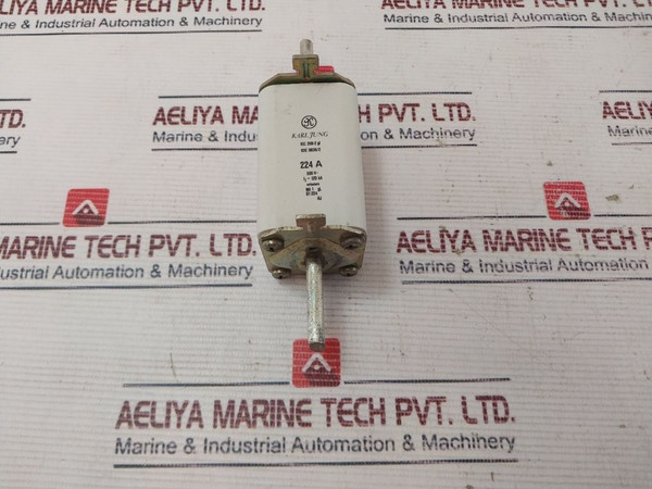 Karl Jung Iec 269-2 Gl Fuse 224 A 500V