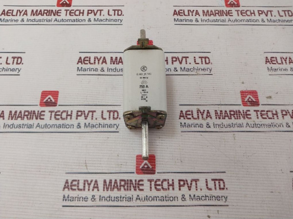 Karl Jung, Iec 269-2, Gl, 250 A, 500V New