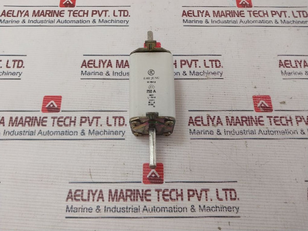 Karl Jung, Iec 269-2, Gl, 250 A, 500V New