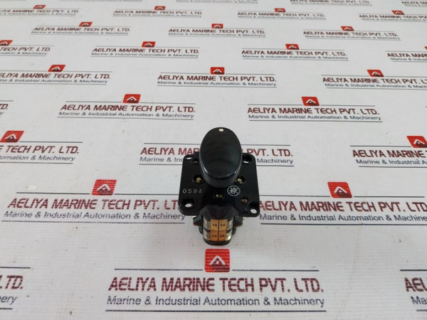 Seiko Electric En 2X Cam Switch