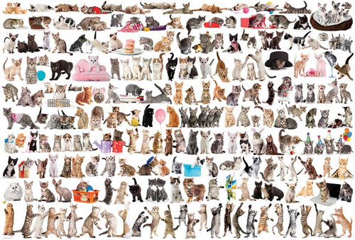 The World of Cats (EU82200580)