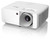 Optoma ZH420 Standard throw projector 4300 ANSI lumens DLP 1080p (1920x1080) 3D White
