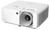 Optoma ZH420 Standard throw projector 4300 ANSI lumens DLP 1080p (1920x1080) 3D White