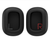 HP Poly Focus 6 Over-Ear Cushions (2 Pieces) WW