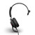 Skype for Business headset