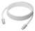 dbramante1928 re-charge IT - Cable - BRD - 2m USB-C/USB-C 100W - W
