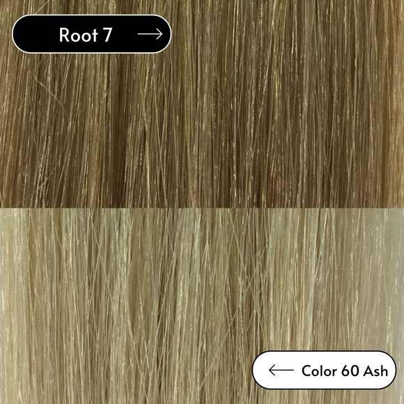 Color Rooted 7Ash with 60 / 7A Lowlight
