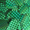 30mm Sequins Green Prism Metallic