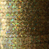 Sequin Trim 6mm Gold Hologram Glitter Sparkle Metallic