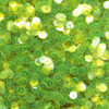 8mm Sequins Lime Green Yellow Transparent See-Thru