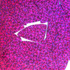 Fishscale Fin Sequin 1.5" Fuchsia Pink Hologram Glitter Sparkle Metallic