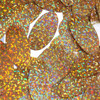 Oval Sequin 1.5" Peach Glitter Hologram Glitter Sparkle Metallic