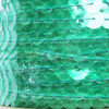 Sequin Trim 10mm Iron On Fresh Green Transparent See-Thru