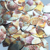 Navette Leaf Sequin 1.5" Scallop Seashell Print Metallic