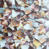 Rectangle Sequin 1.5" Brown Pink White Seashell Print Opaque