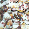 Round Sequin 30mm Scallop Seashell Print Metallic