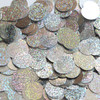 20mm Sequins Center Hole Silver Hologram Glitter Sparkle Metallic