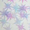 North Star Sequin 1.5" Crystal Crystallina Iris Mirror Iridescent