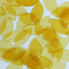 Navette Leaf Sequin 1.5" Yellow Citrine Transparent Glossy See-Thru