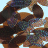 Navette Leaf Sequin 1.5" Chocolate Brown Transparent Hologram Glitter Sparkle