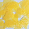 Fishscale Fin Sequin 1.5" Yellow Fluorescent Transparent Hologram Glitter Sparkle