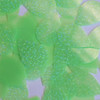 Teardrop Sequin 1.5" Lime Green Fluorescent Transparent Hologram Glitter Sparkle