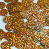 Round  Flat Sequin 15mm Top Hole Copper Hologram Glitter Sparkle