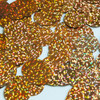 Round  Flat Sequin 20mm Top Hole Copper Hologram Glitter Sparkle