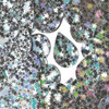 Teardrop Sequin 1.5" Silver Star Dust Reflective Metallic