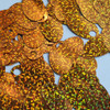 Large Hole Oval Sequin 1.25" Copper Orange Hologram Glitter Sparkle