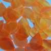 Teardrop Sequin 1.5" Orange Rainbow Iris Fluorescent Transparent See Thru