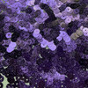 6mm Flat Sequins Lavender Light Purple Metallic Embossed Texture