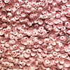 5mm Cup Sequins Dolly Pink Transparent Glossy Matte Duo Reversible