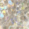 12mm Sequins Top Hole Crystal Laser Rainbow Reflective
