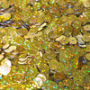 8mm Sequins Golden Yellow Hologram Glitter Sparkle Metallic