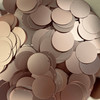 24mm Sequins Top Hole Champagne Rose Gold Matte Shimmer