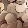 40mm Sequins Top Hole Champagne Rose Gold Matte Shimmer