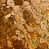 8mm Flat Sequins Copper Orange Hologram Made in USA