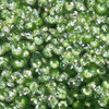 6mm Cup Sequins Light Green Crystal Rainbow Iris Made in USA
