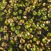 6mm Cup Sequins Lime Green Gold Metallic Reversible Made in USA