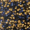 6mm Cup Sequins Royal Purple Gold Metallic Reversible Made in USA
