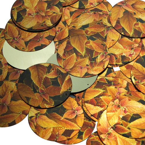 1.5" Sequins Gold Orange Coleus Foliage Leaf Metallic