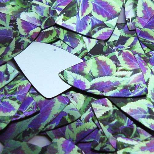 Fishscale Fin Sequin 1.5" Purple Green Coleus Foliage Leaf Metallic
