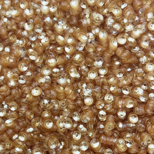 4mm Cup Sequins Amber Transparent Glossy See-Thru