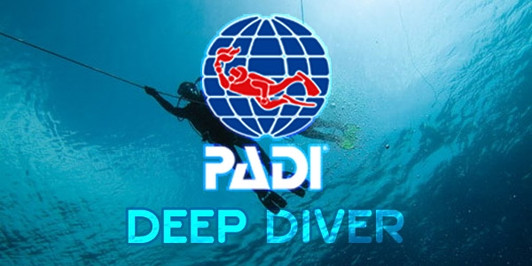 Padi open. Padi Deep Diver. Deep Diver Padi сертификат фото. Padi мир магазин. Deep Dive into study.