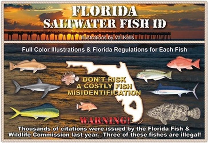 Florida Saltwater Fish Identification Book 12th Edition